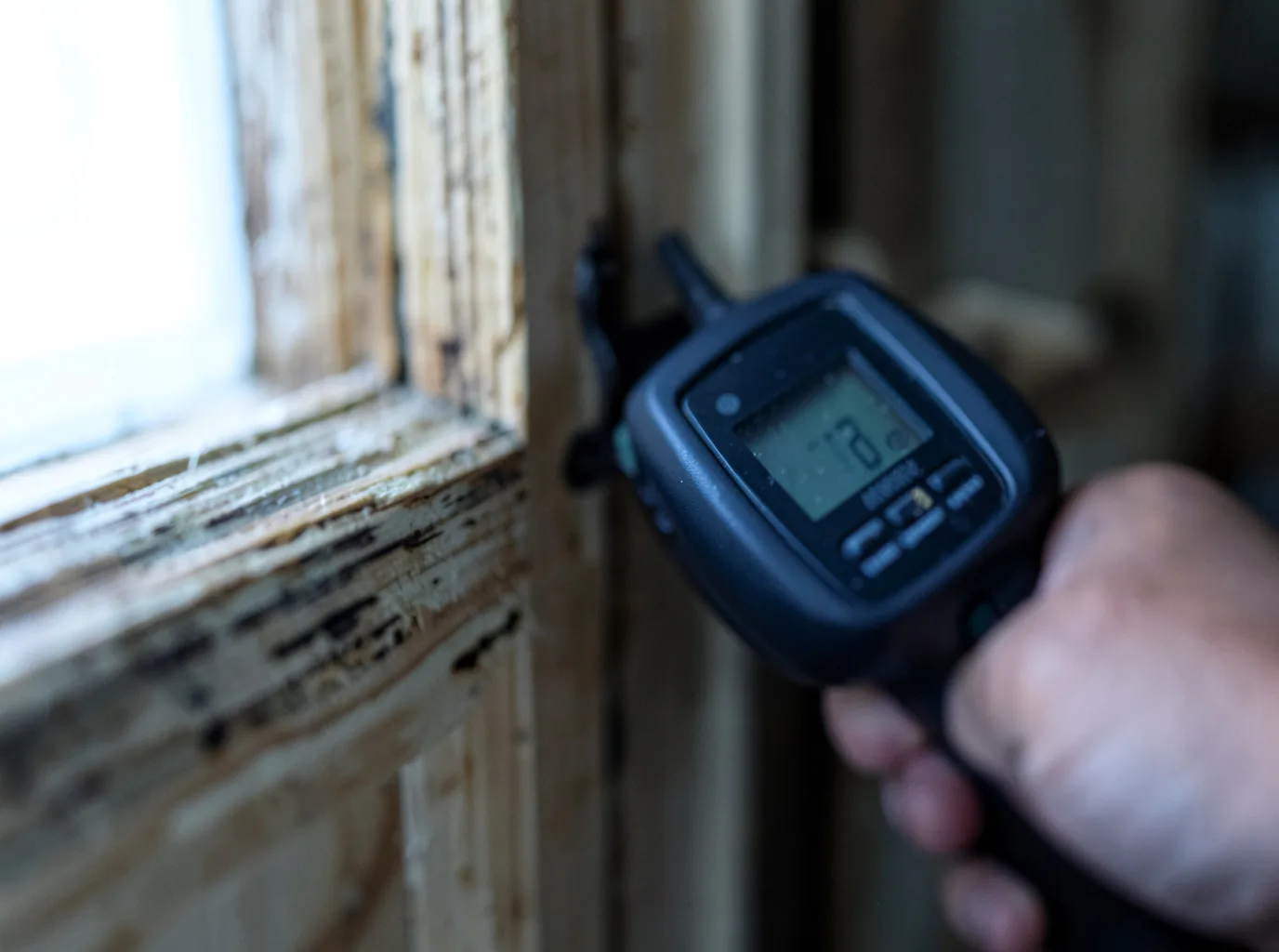 Moisture Inspection And Documentation in Iraan, TX